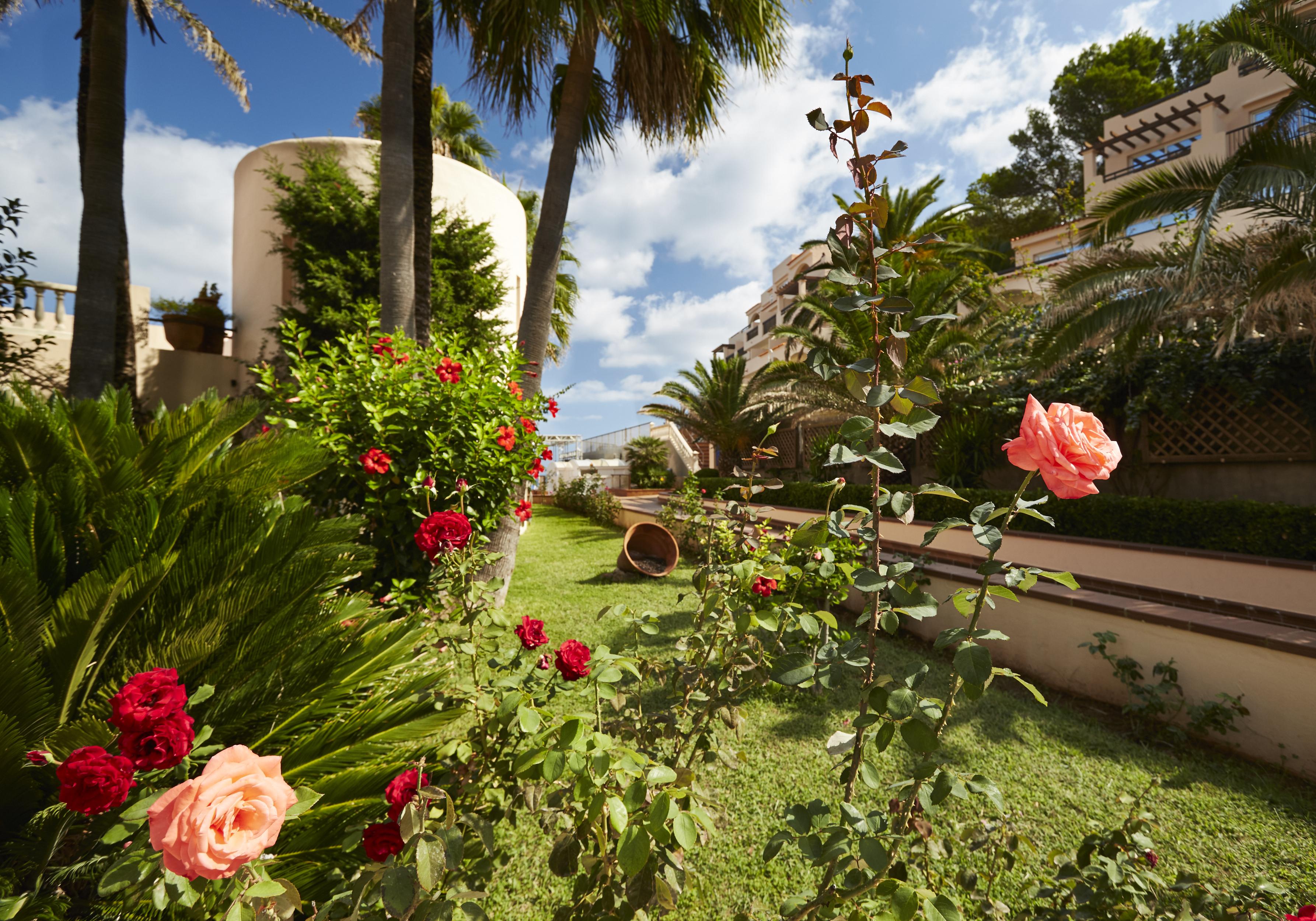 Playa Des Figueral Invisa Hotel Club Cala Blanca מראה חיצוני תמונה